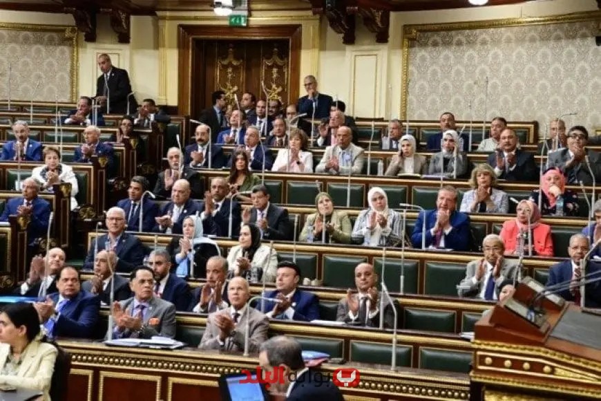 «البرلمان المصري يوافق على اتفاقية تجنب الازدواج الضريبي مع الإمارات لتعزيز التعاون الاقتصادي»