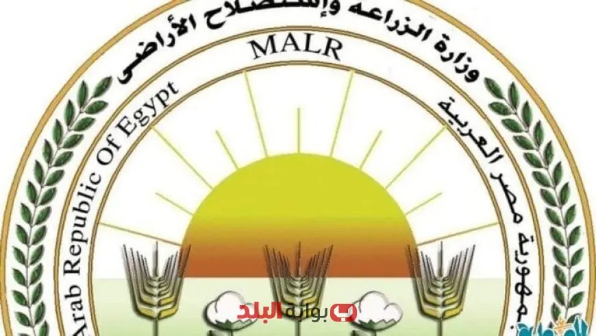 “تفقد وزارة الزراعة أوضاع مراكز تجميع الألبان في 3 محافظات لتحسين الجودة والإنتاج”