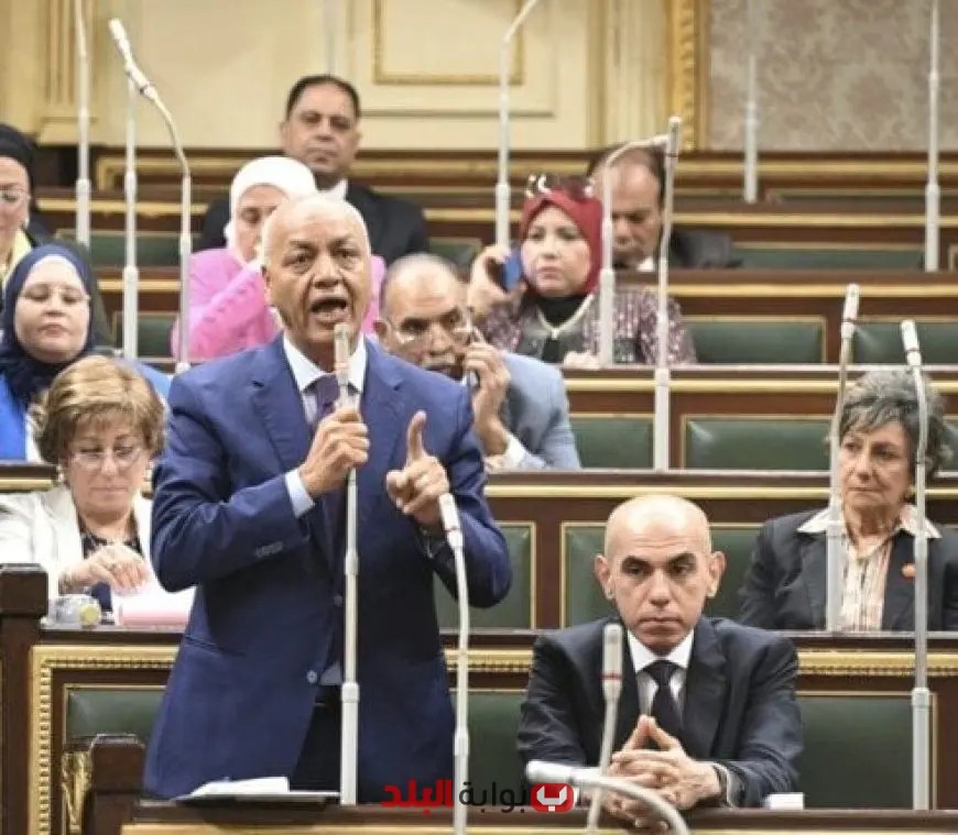 بكري: تجربة الألمان بعد الحرب العالمية فرصة ملهمة لمصر لتجاوز التحديات الراهنة
