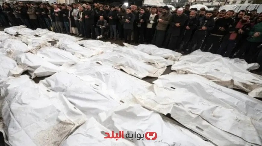 ارتفاع حصيلة الشهداء في غزة نتيجة العدوان الإسرائيلي إلى 55,432 فلسطينيًا: الأوضاع تتدهور بشكل مأساوي