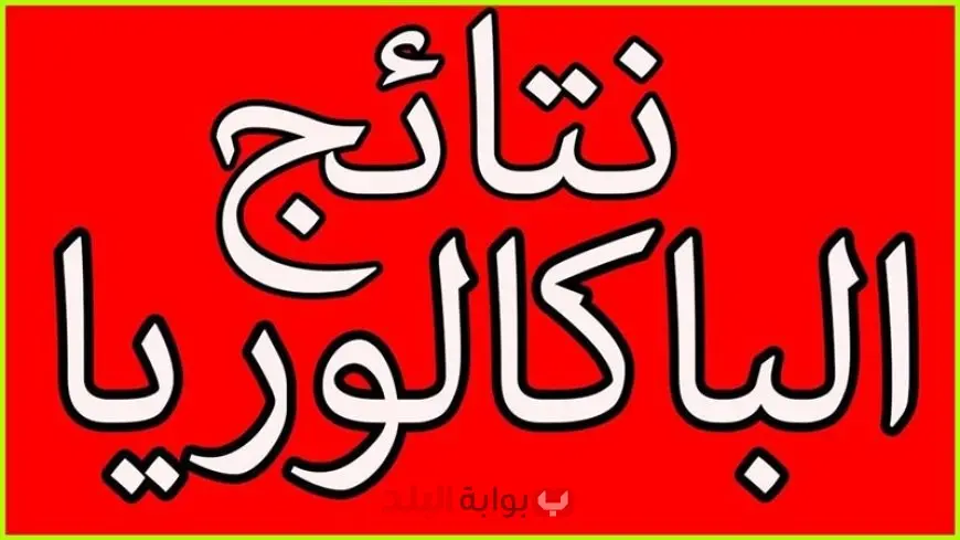 رابط نتائج البكالوريا 2025 المغرب وخطوات الاستعلام برقم المسار عبر موقع وزارة التربية والتعليم