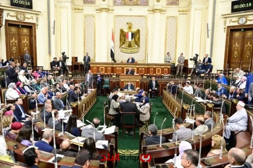 مجلس النواب يوافق على الموازنة الجديدة: خطوات هامة نحو التنمية الاقتصادية