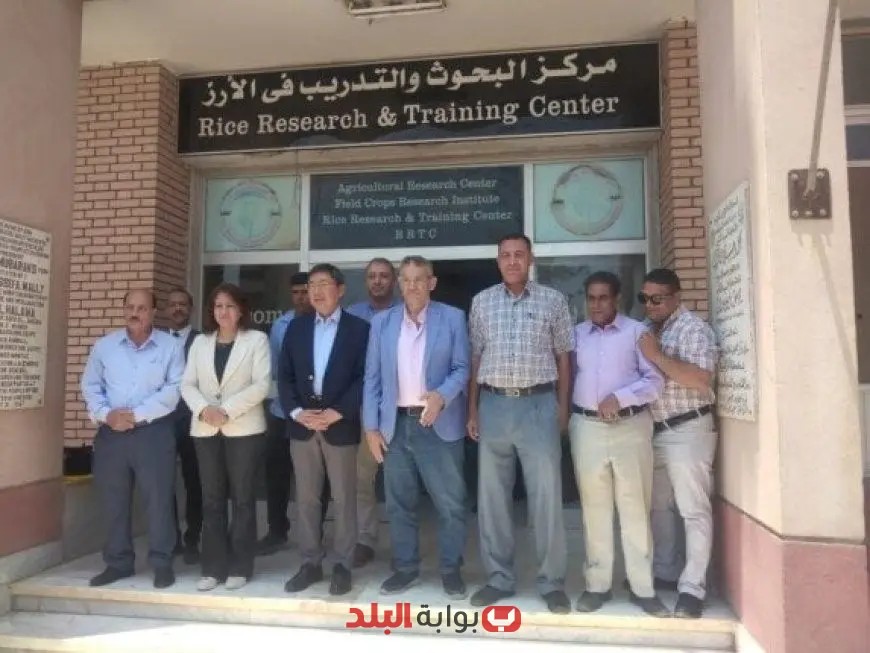 تعزيز التعاون الزراعي: سفير سنغافورة يزور بحوث الأرز في كفر الشيخ لاستكشاف التجارب الحديثة