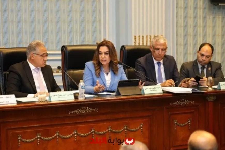وزيرة التنمية المحلية: استثمار 4.8 مليار جنيه في تعزيز مشروعات البنية التحتية في مصر