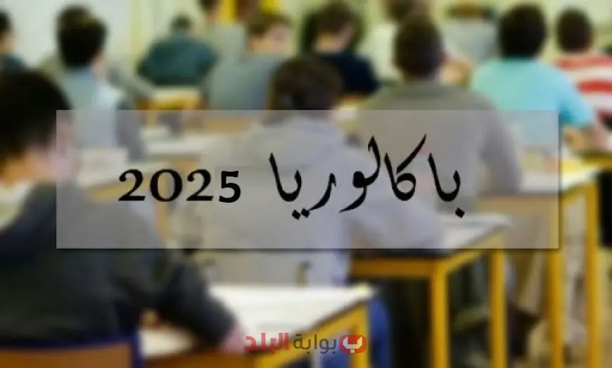 رابط نتائج البكالوريا تونس 2025 عبر موقع وزارة التربية وخدمة SMS على الرقم 85005