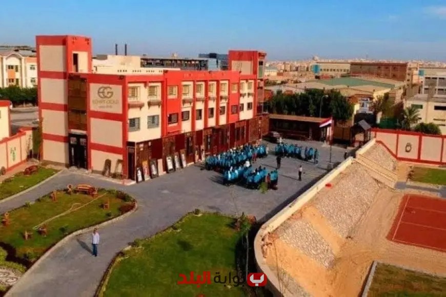 “كل ما تحتاج معرفته عن مصاريف مدارس البترول الحكومية بعد الإعدادية 2025: الشروط والتنسيق”