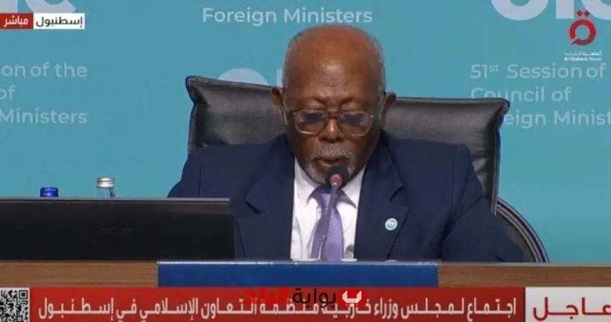 بث مباشر: انطلاق فعاليات اجتماع مجلس وزراء خارجية منظمة التعاون الإسلامي في إسطنبول! تابعونا الآن!