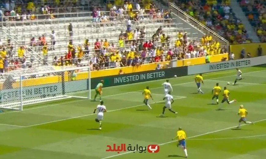 دورتموند يفاجئ صن داونز بـ هدف قاتل في كأس العالم للأندية! (شاهد الفيديو)