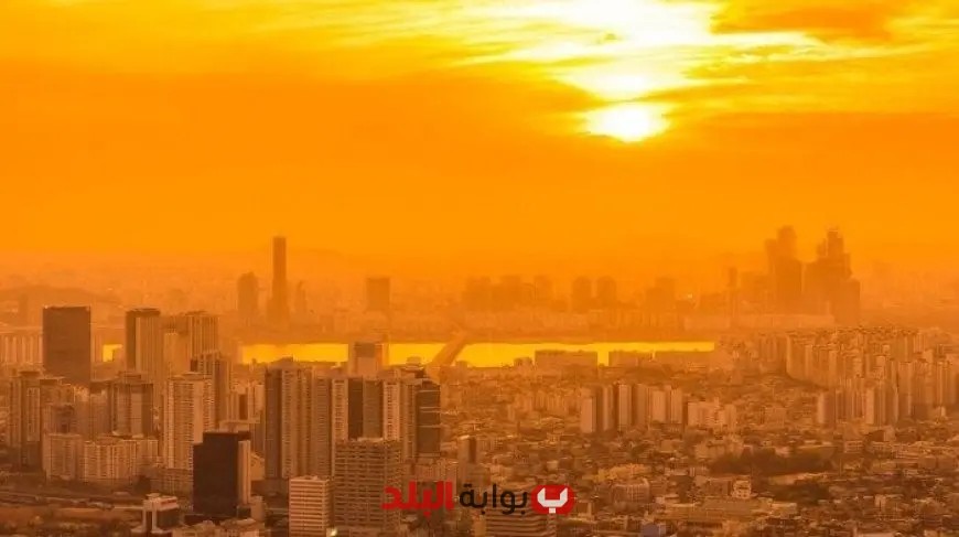 أجواء حارة ورطوبة مرتفعة: تفاصيل حالة الطقس لليوم الإثنين 23 يونيو 2025 من «الأرصاد»