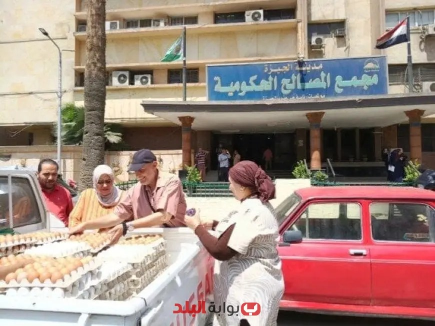 إطلاق منافذ متنقلة لبيع البيض البلدي والأسماك بأسعار تنافسية! (اكتشف التفاصيل)