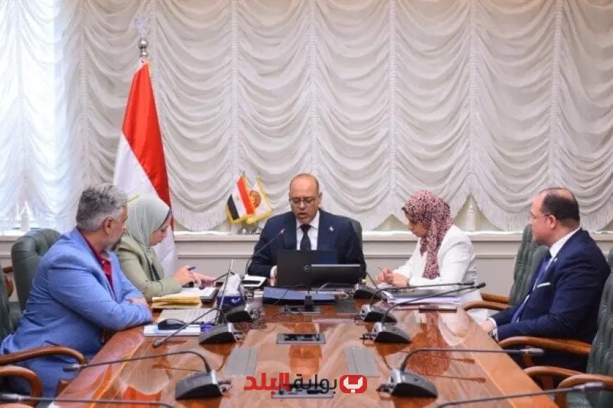 “وزير العمل يدعو مكاتب التمثيل بالخارج للتواصل مع الشركات لخلق فرص عمل جديدة للشباب”
