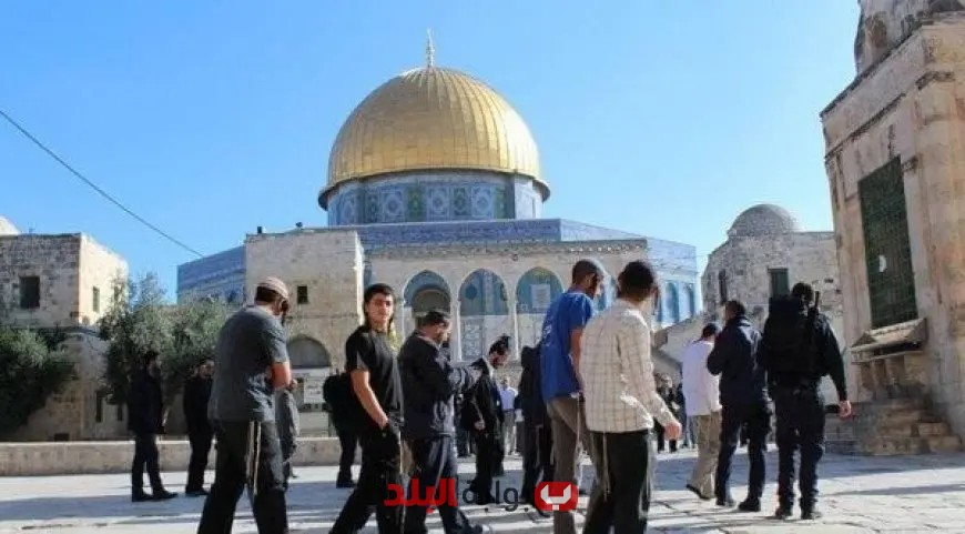 مستوطنون إسرائيليون يقتحمون باحات المسجد الأقصى تحت حماية شرطة الاحتلال: تصاعد التوتر في القدس