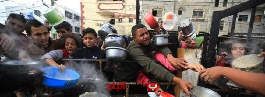 “تحذير من الأمم المتحدة: الفلسطينيون يفقدون حياتهم في محاولاتهم للوصول إلى الغذاء الضروري”