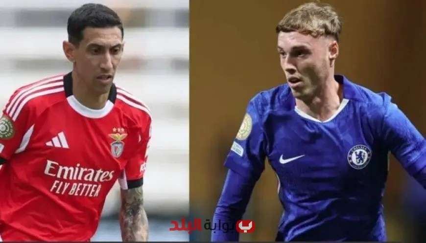 تعرف على موعد مباراة تشيلسي ضد بنفيكا في كأس العالم للأندية 2023 والقنوات الناقلة!