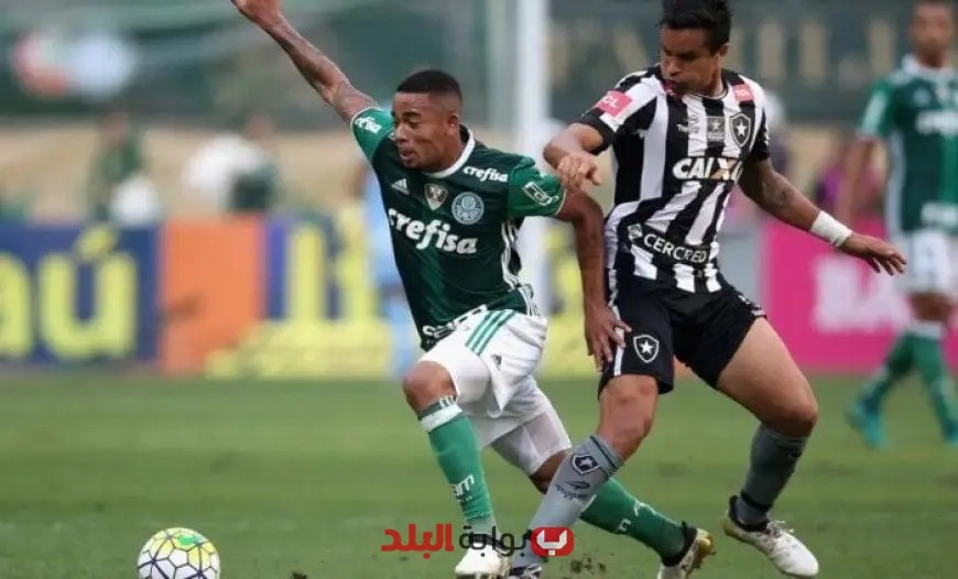 “كل ما تحتاج معرفته عن موعد مباراة بالميراس وبوتافوجو في كأس العالم للأندية والقنوات الناقلة لها”