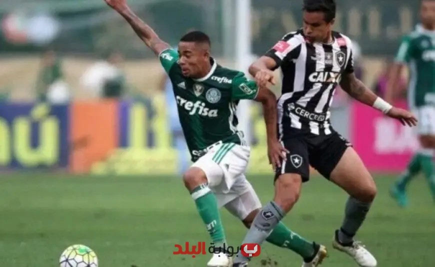 تابعوا البث المباشر لمباراة بالميراس ضد بوتافوجو في كأس العالم للأندية اليوم!