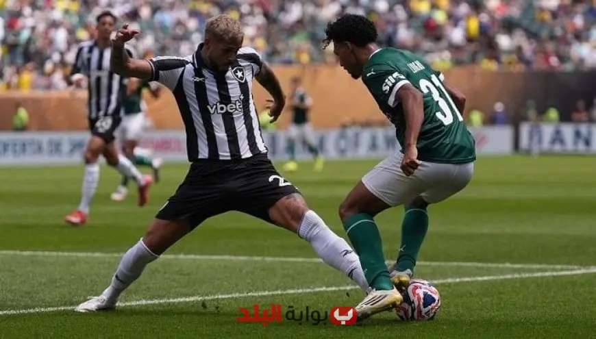 بالميراس يتألق ويطيح ببوتافوجو ويتأهل لربع نهائي كأس العالم للأندية 2025! «شاهد الفيديو»