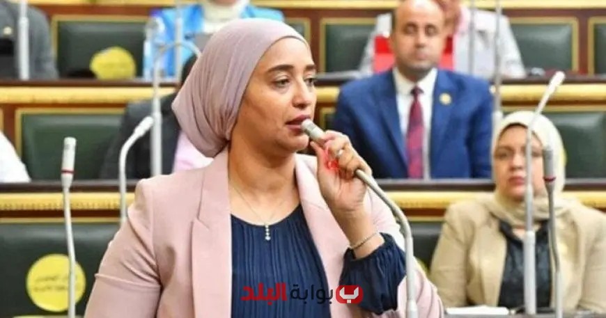 “أميرة أبو شقة: التعديل على عقود الإيجار القديم يخالف المبادئ الدستورية ويعتمد على الرضائية”