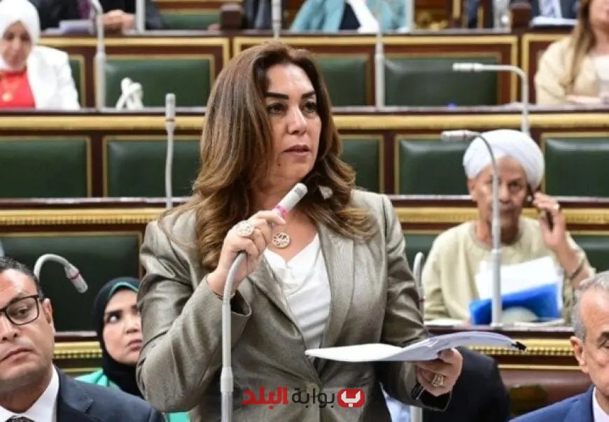 “وزيرة التنمية المحلية تؤكد: الحكومة ملتزمة بحماية حقوق سكان الإيجار القديم عند تطبيق القانون الجديد”