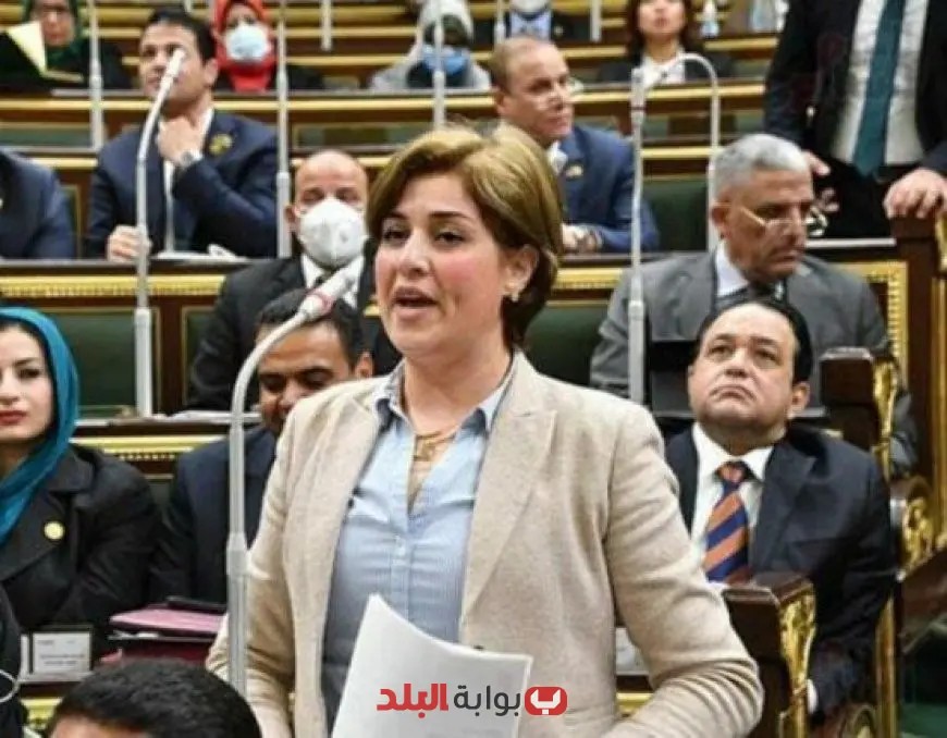 نائبة تكشف: الحكومة تسعى لتنظيم العلاقة بين المالك والمستأجر بقانون يعتمد على إحصائيات غير دقيقة!