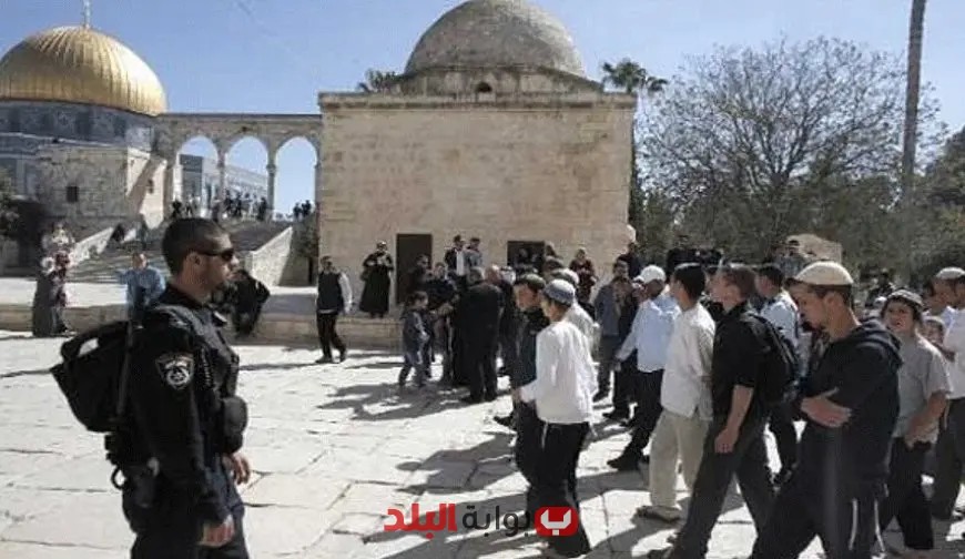 مستوطنون يقتحمون المسجد الأقصى ويعتقل الاحتلال 15 فلسطينياً بالضفة الغربية!