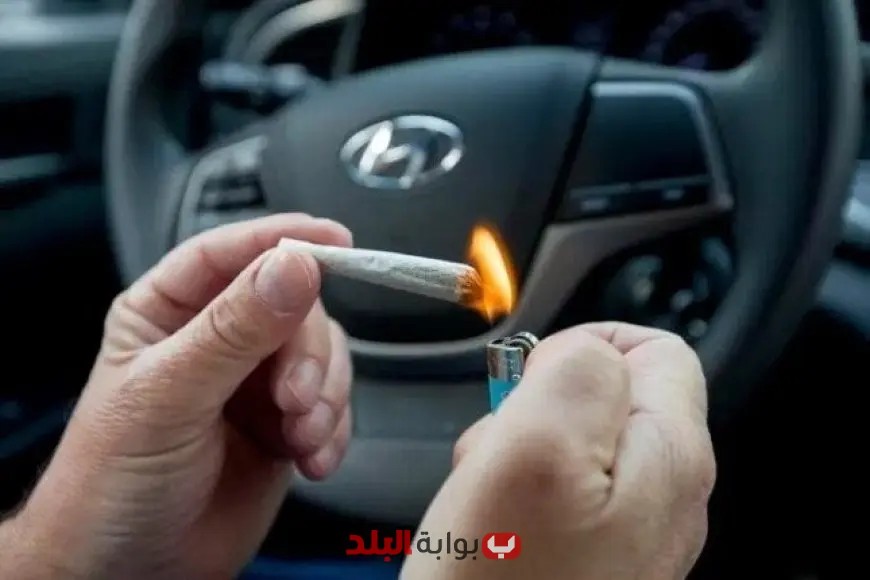 “التضامن تطلق حملة توعوية للسائقين حول مخاطر المخدرات وأثرها على السلامة العامة”