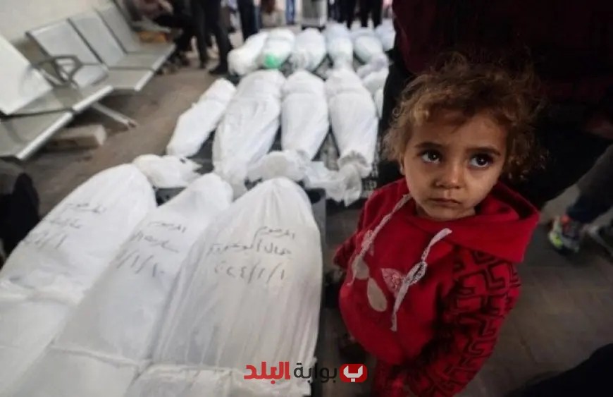 وسائل إعلام فلسطينية: 92 شهيدًا في غارات إسرائيلية على قطاع غزة، بينهم 42 من المنتظرين للمساعدات الإنسانية