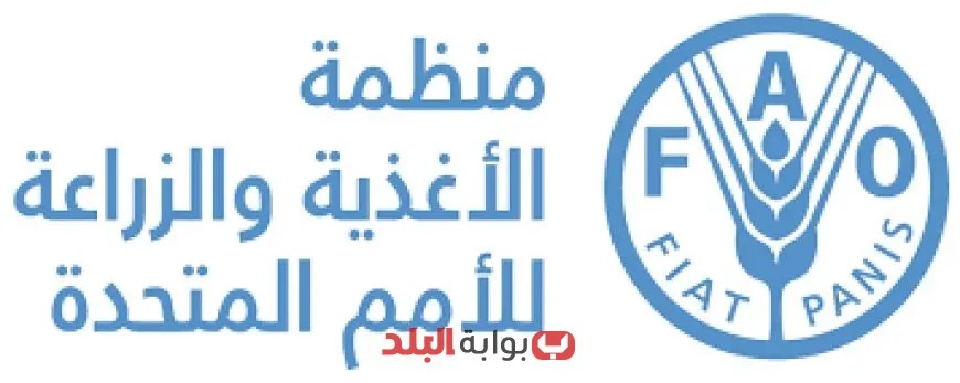 المرشح المصري يحقق إنجازًا تاريخيًا بفوزه بمنصب رئيس مجلس «الفاو» لأول مرة منذ تأسيس المنظمة