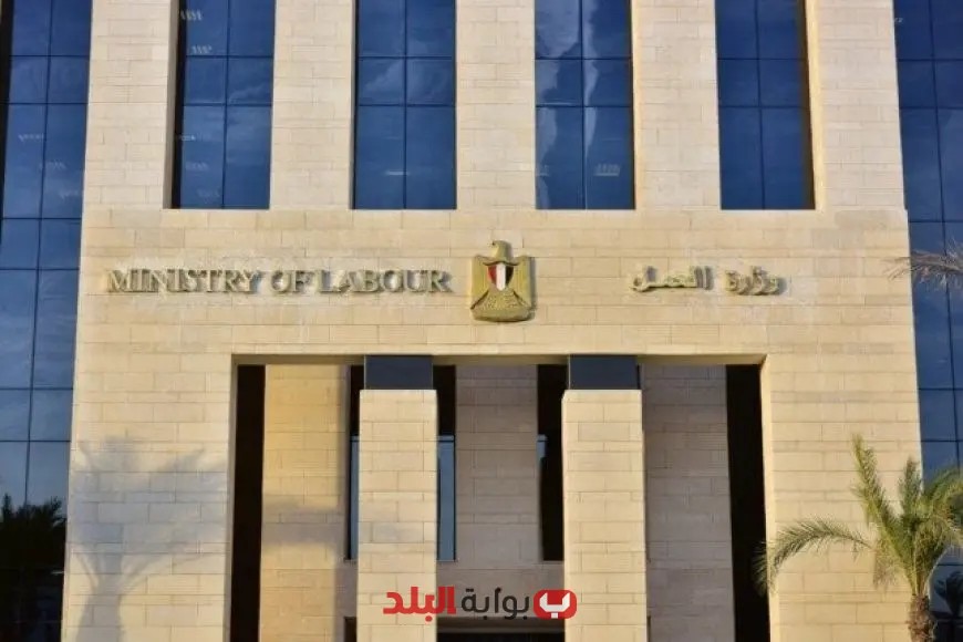 «العمل» تنظم دورات تدريبية لـ 500 مسؤول في السلامة والصحة المهنية في 200 منشأة بالجيزة لتعزيز معايير الأمان!