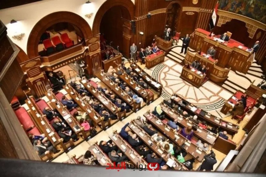 “انتخابات مجلس الشيوخ 2025: انطلاق تسجيل أوراق الترشح رسميًا – قدم طلبك الآن!”