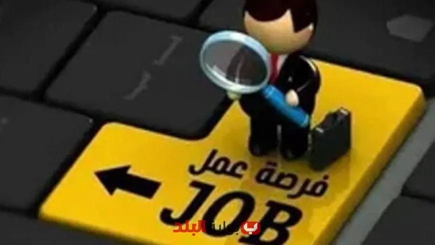 15 فرصة عمل مثيرة في الأردن بقطاع تربية الدواجن!