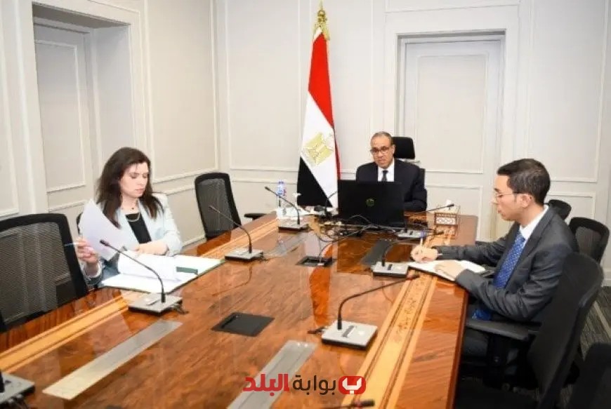وزير الخارجية يؤكد ضرورة مشاركة المصريين في الخارج بالانتخابات المقبلة لتعزيز صوت الوطن
