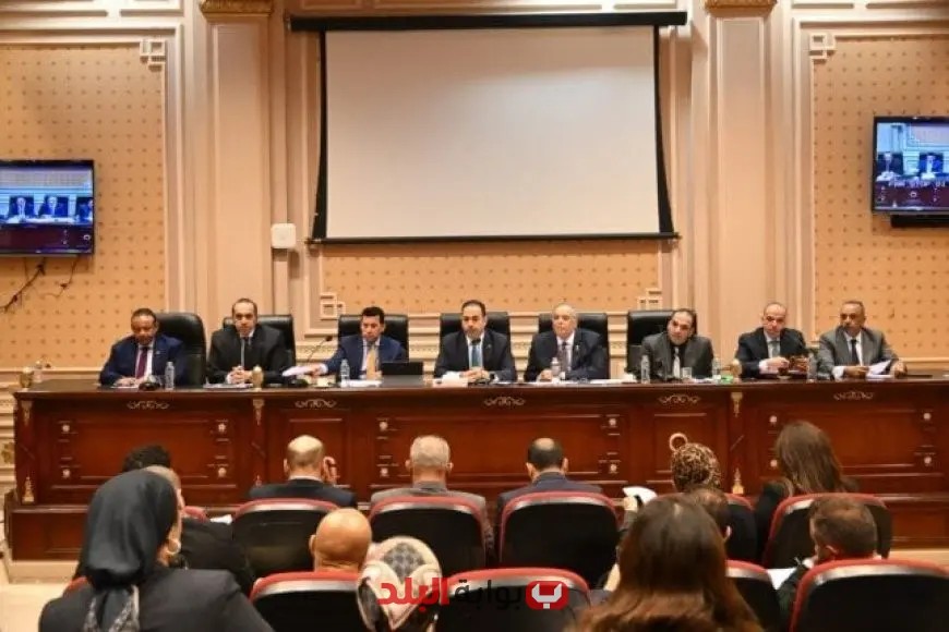 شباب النواب يرفضون باحتجاج مقترح الحكومة لإنشاء الجهاز الوطني للرياضة!