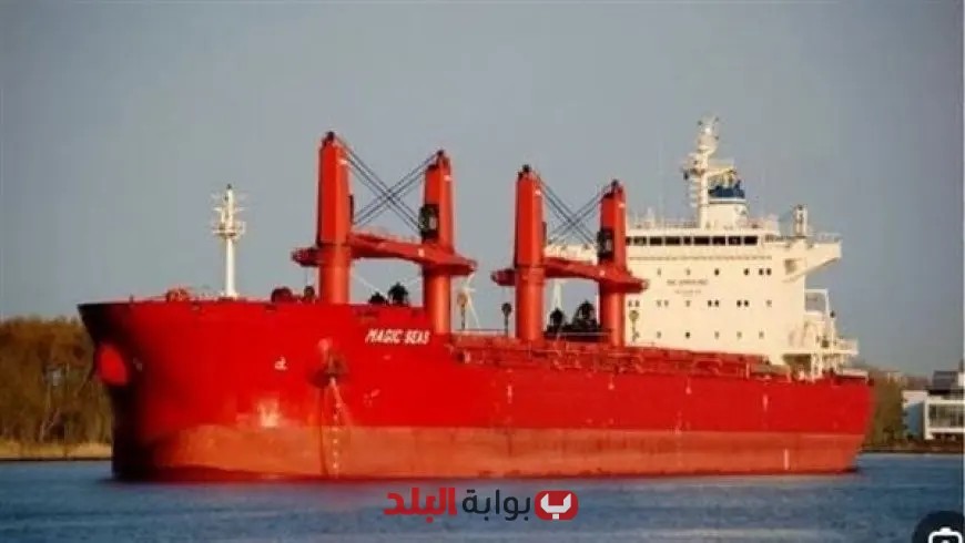 الإمارات تُنقذ طاقم سفينة تعرضت لهجوم في البحر الأحمر: تفاصيل مثيرة عن العملية cứu援