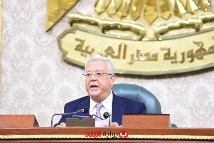 مجلس النواب يوافق على استقالة نائبة استعدادًا للترشح في انتخابات مجلس الشيوخ 2025