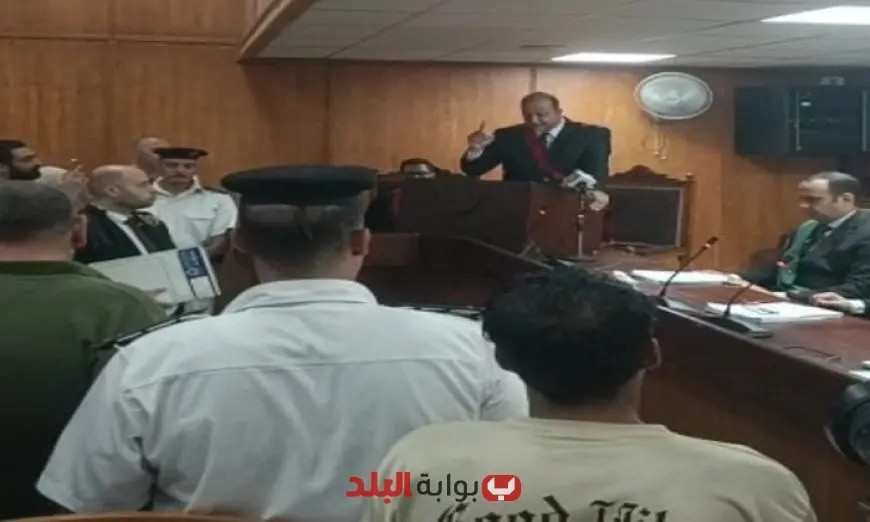 حكم بالسجن 15 عامًا على سائق التريلا المتسبب في حادث الإقليمي بالمنوفية: تفاصيل مثيرة ونتائج الحادث.