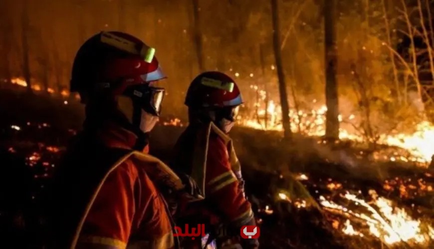 إصابة 97 شخصًا في حريق غابات مدمر بالقرب من مرسيليا جنوب فرنسا
