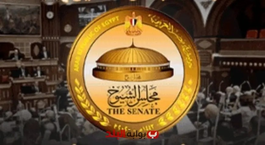 «الهيئة الوطنية للانتخابات» توضح قواعد تصويت المصريين في الخارج وضوابط الدعاية لانتخابات الشيوخ 2023