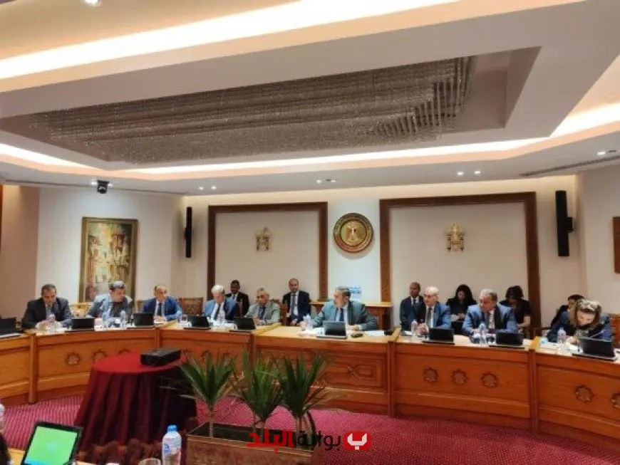 نائب وزير الخارجية يقود اجتماع اللجنة الدائمة لتعزيز العلاقات المصرية الإفريقية