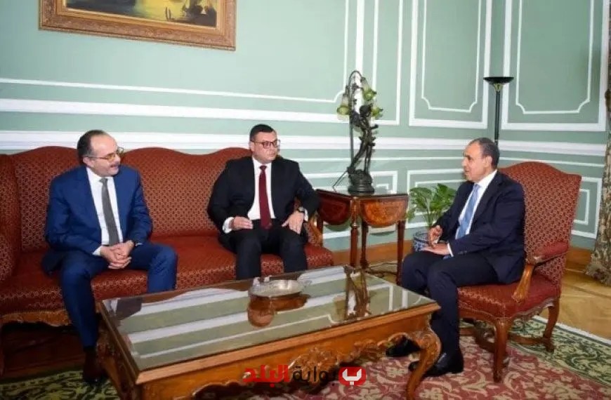 وزير الخارجية ووزير الإسكان يتباحثان حول كيفية تعزيز مشروعات التنمية في إفريقيا