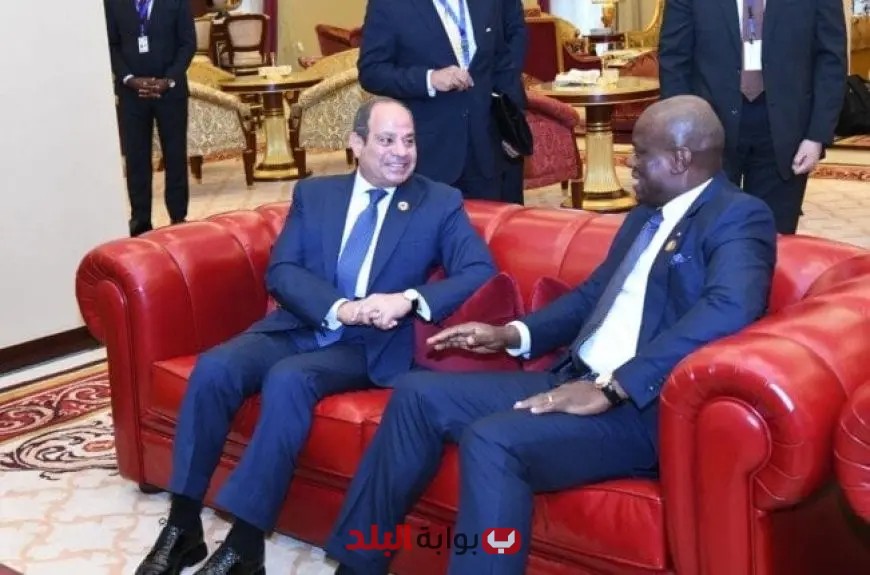 الرئيس السيسي يعقد لقاءً هامًا مع رؤساء دول في الدورة السابعة للقمة التنسيقية للاتحاد الإفريقي