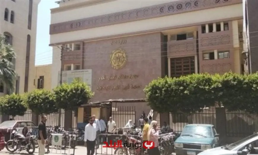 حكم بالسجن 10 سنوات على أم بتهمة قتل رضيعها غرقًا في البانيو بمحافظة المنوفية