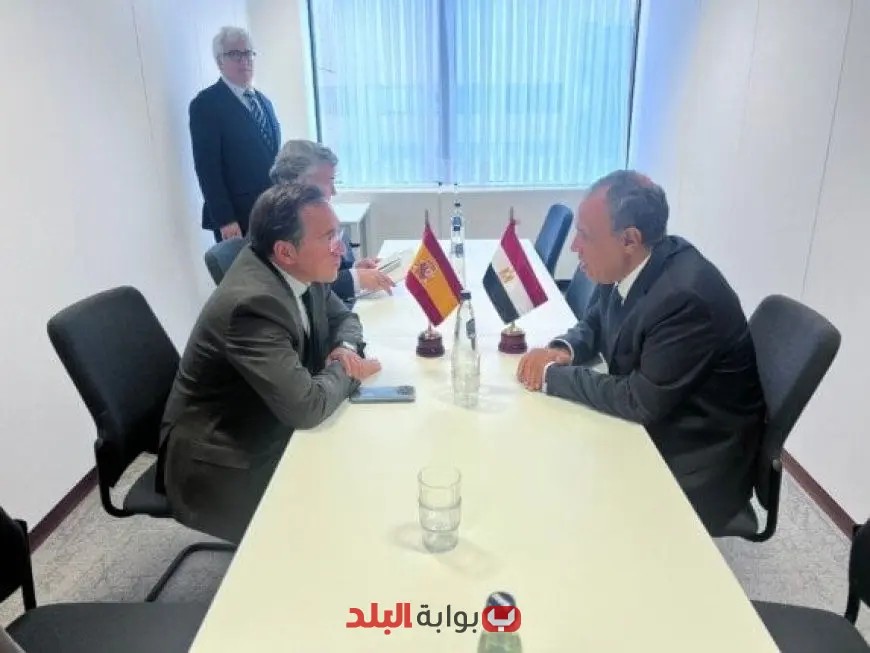 مصر تؤكد بقوة رفضها لتهجير الفلسطينيين من أراضيهم، وزير الخارجية يؤكد التزام الحكومة بحقوق الشعب الفلسطيني