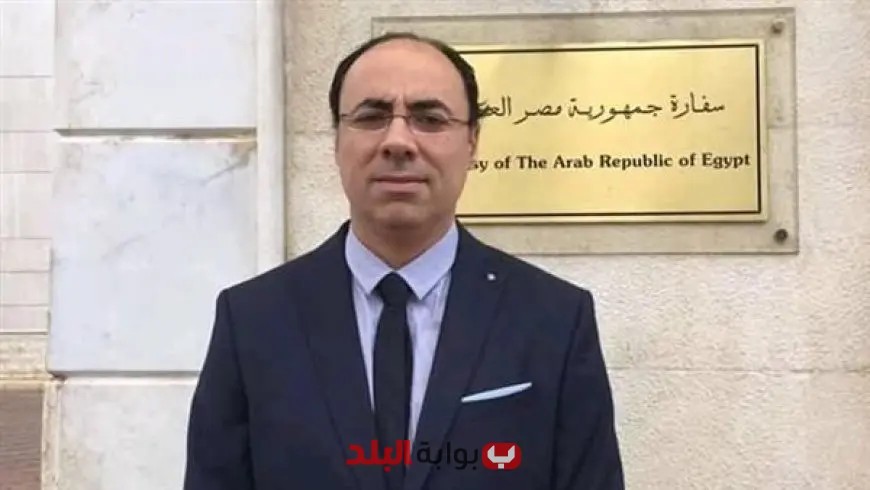 وزير خارجية أيرلندا يثني على دور مصر المحوري في إنهاء الأزمة في غزة