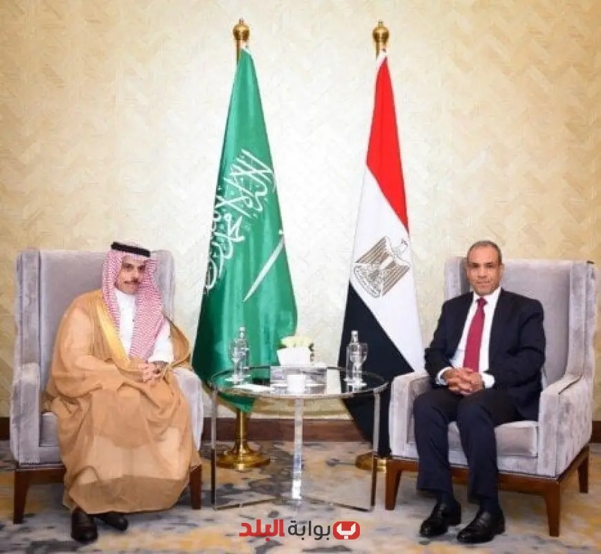 وزير الخارجية يستقبل نظيره السعودي ويعززان الروابط الأخوية القوية بين البلدين