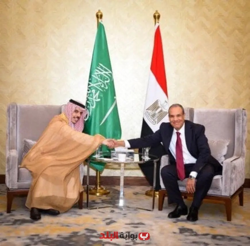 وزير الخارجية يناقش مع نظيره السعودي أحدث تطورات الأوضاع في سوريا وليبيا وفلسطين