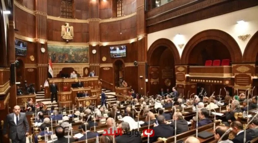 مجلس الشيوخ: خطوة حاسمة نحو بناء الجمهورية الجديدة وتعزيز التجربة الديمقراطية في مصر
