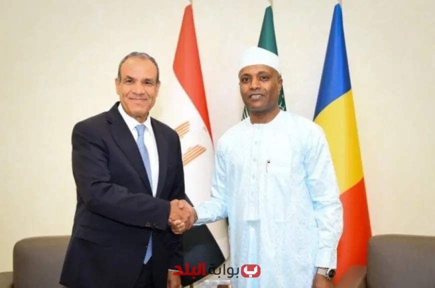 وزير الخارجية يؤكد أهمية إنجاز مشروع الطريق البري الرابط بين مصر وتشاد لتعزيز التعاون الدولي