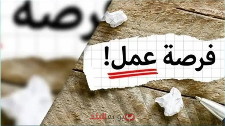 آلاف الوظائف الجديدة للشباب برواتب تصل إلى 9400 جنيه.. وزارة العمل تعلن عن فرص توظيف في شركات كبرى