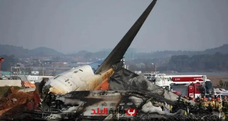 روسيا تؤكد: لا ناجين من حادث الطائرة المنكوبة التي كان على متنها 49 شخصًا
